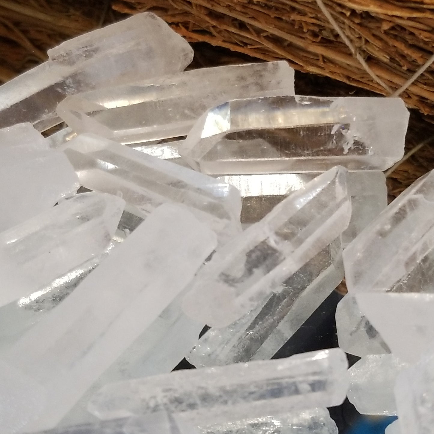 Lemurian Seed Quartz