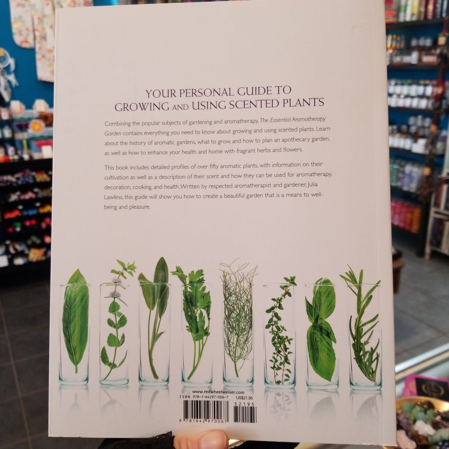 The Essential Aromatherapy Garden